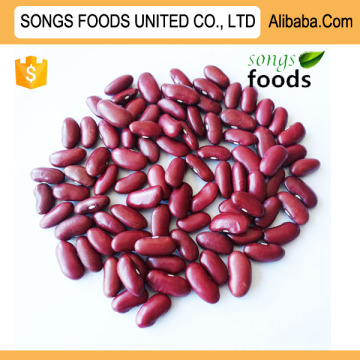 Best Quality New Crop Kidney Beans Dark Red Kidney Beans